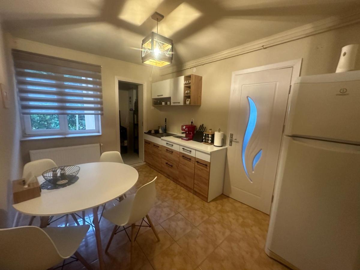 Apartament Maria Băile Govora Zewnętrze zdjęcie
